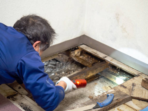 Best Mold Testing  in Sparta, TN