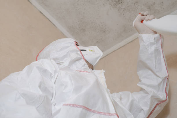Best Mold Remediation Services  in Sparta, TN