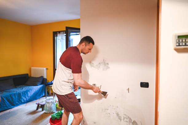Best Residential Mold Removal  in Sparta, TN