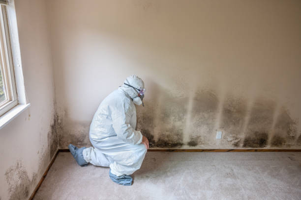 Best Black Mold Removal  in Sparta, TN