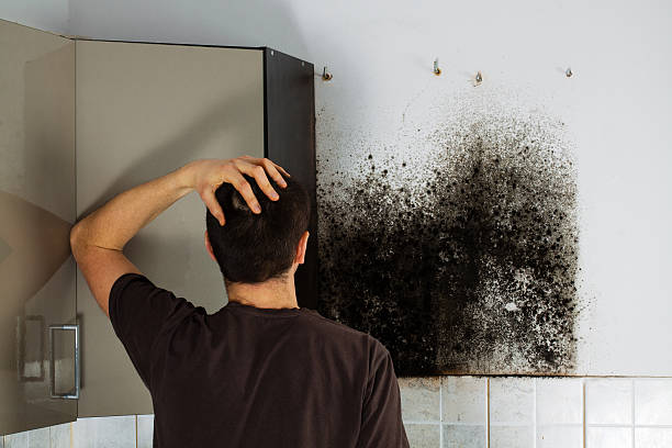 Best Mold Testing  in Sparta, TN
